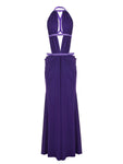 Halter Neck Backless Slim Long Dress